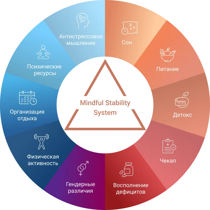 Схема программы Mindful Stability System